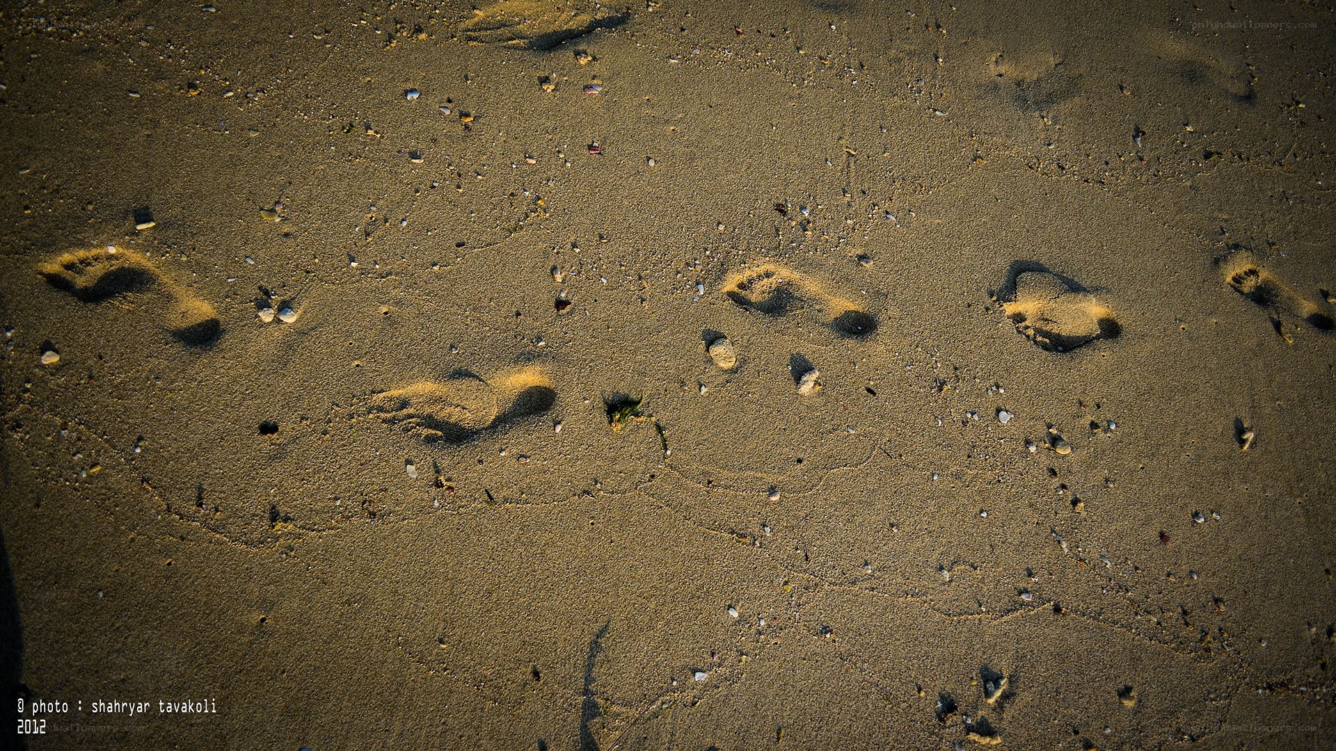 footprints on sandy beach
