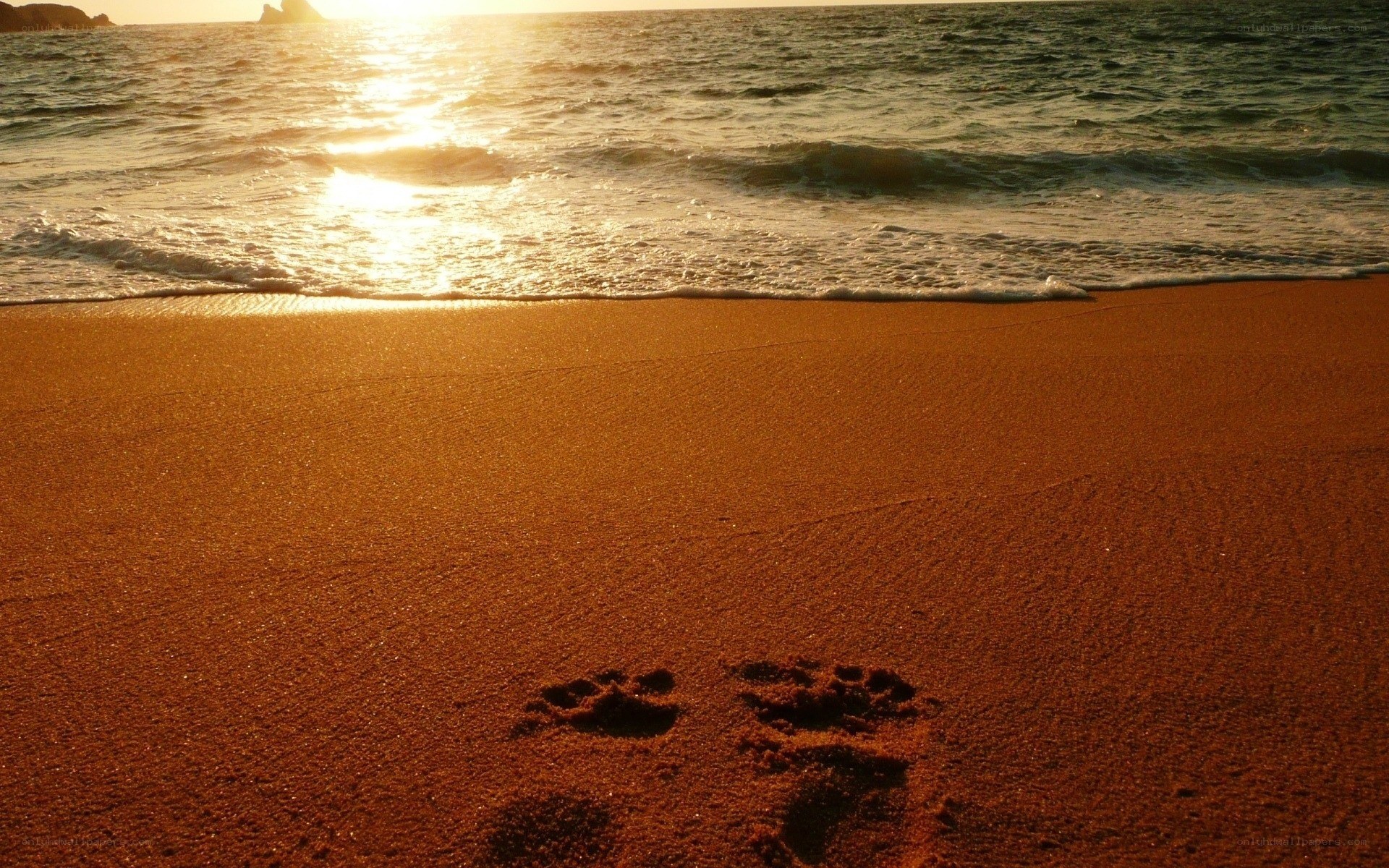 Footprints on the beach at sunset