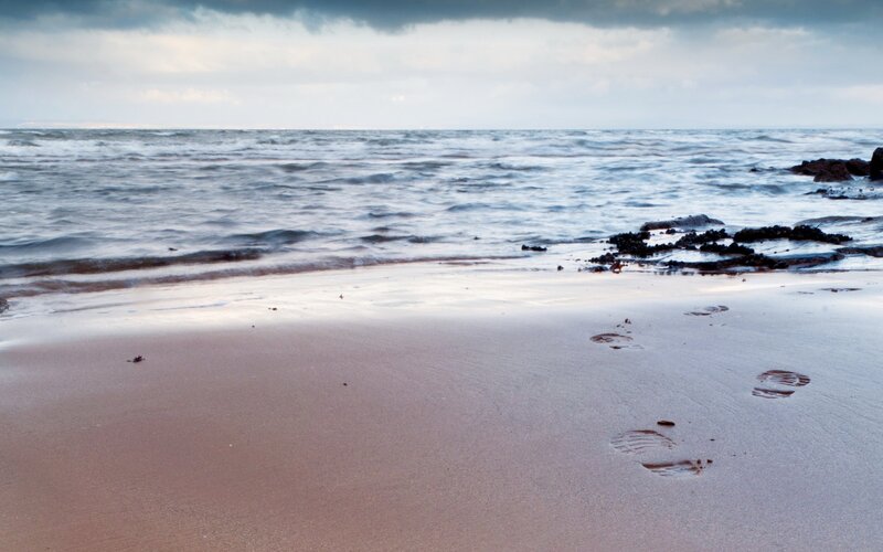 Footprints on Wet Sand — Blue, Calm