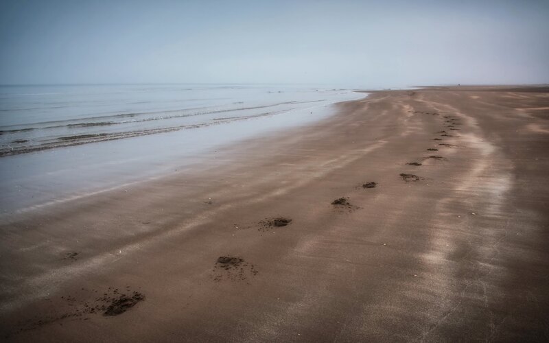 Footprints on Wet Sand — Brown