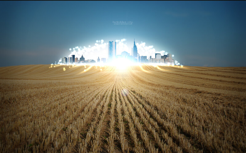 Forbidden City in a Field