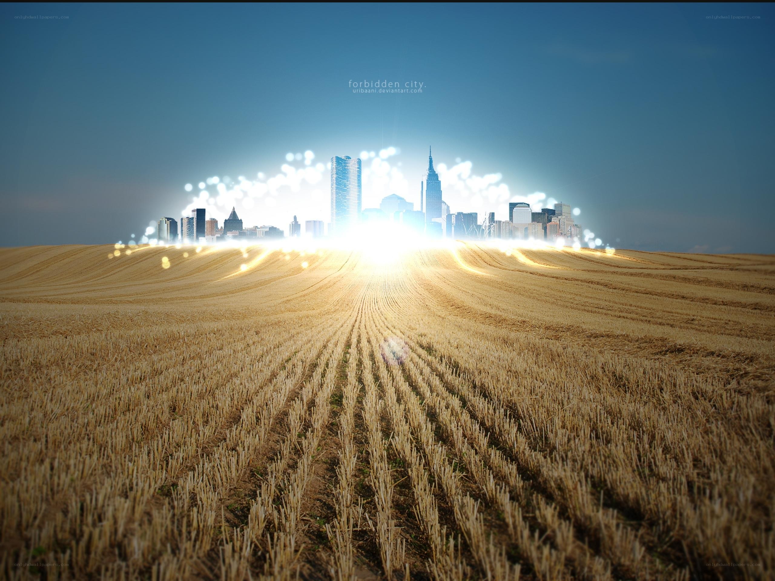 Forbidden City in a Wheat Field