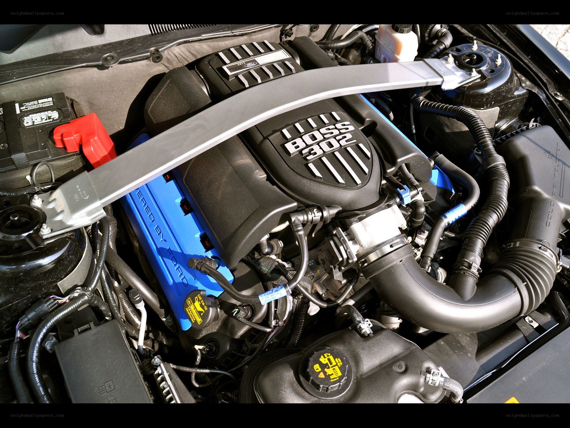 Ford Boss 302 engine bay