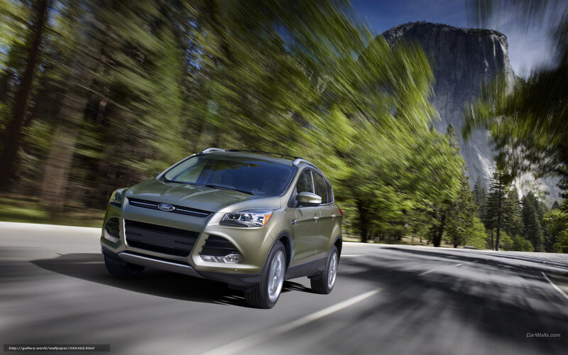 Ford Escape driving on a forest road