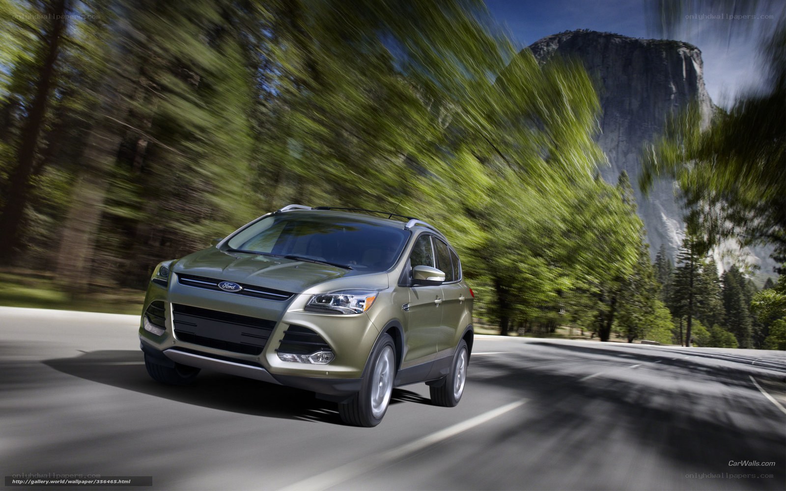 Ford Escape driving on a forest road