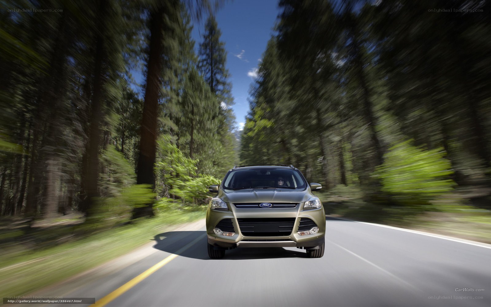 Ford Escape on forest road