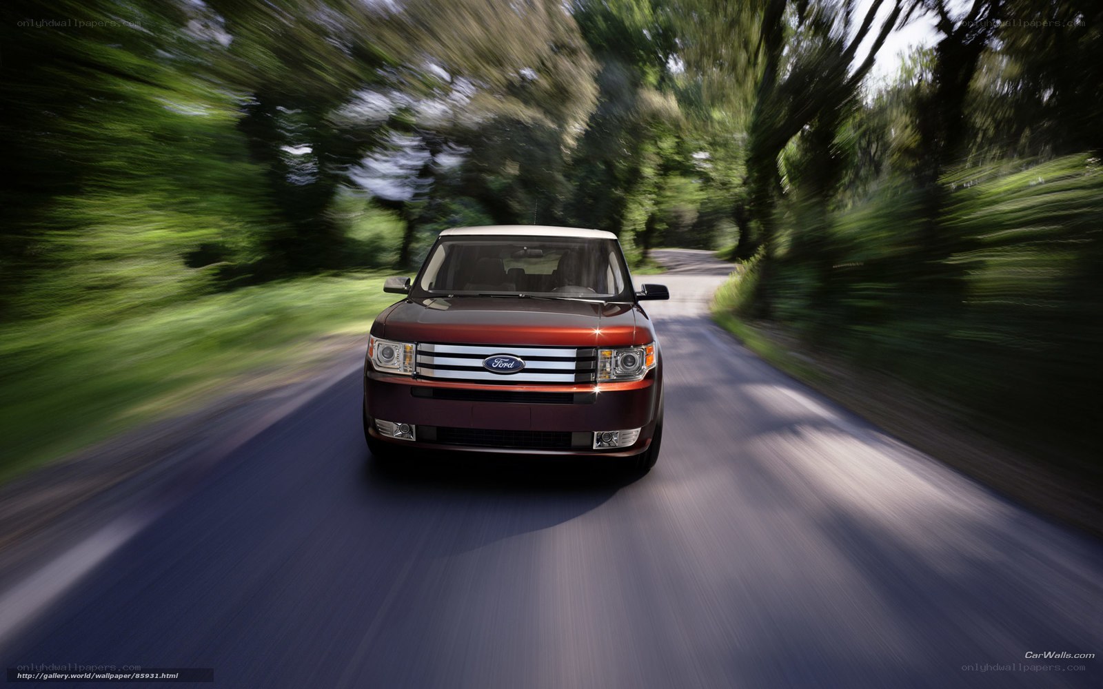Ford Flex driving on a forest road