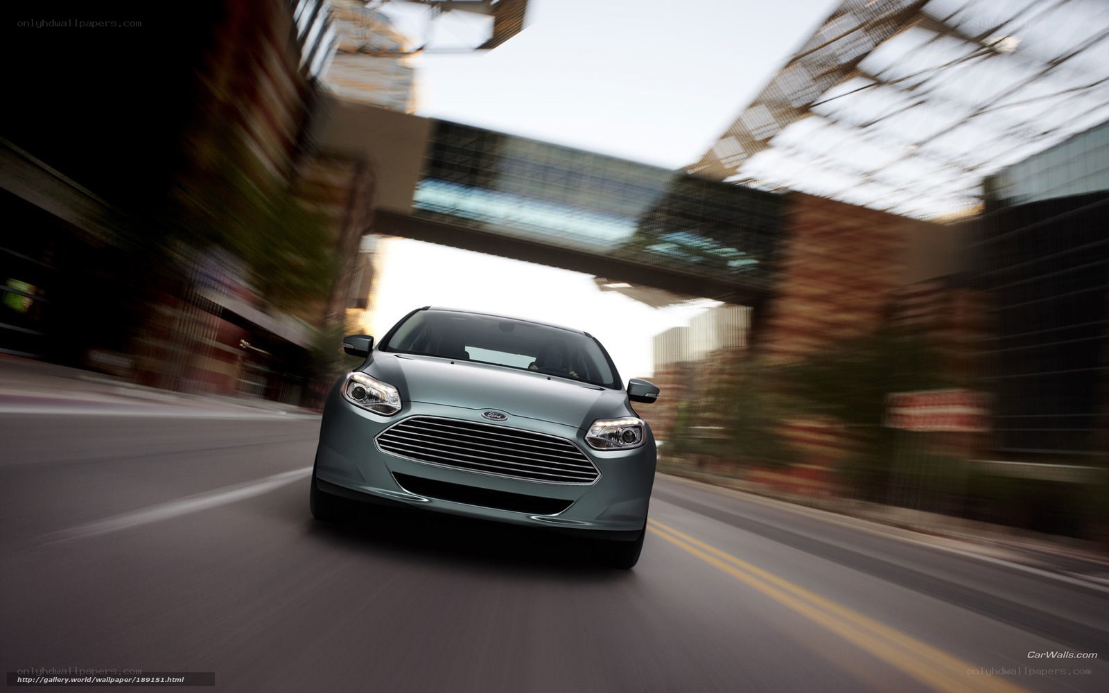 Ford Focus driving in city