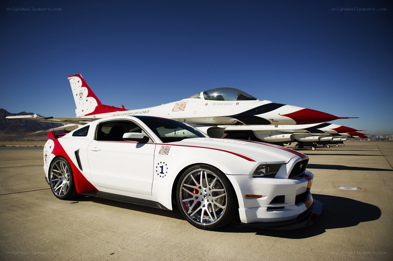 Ford Mustang and Thunderbirds