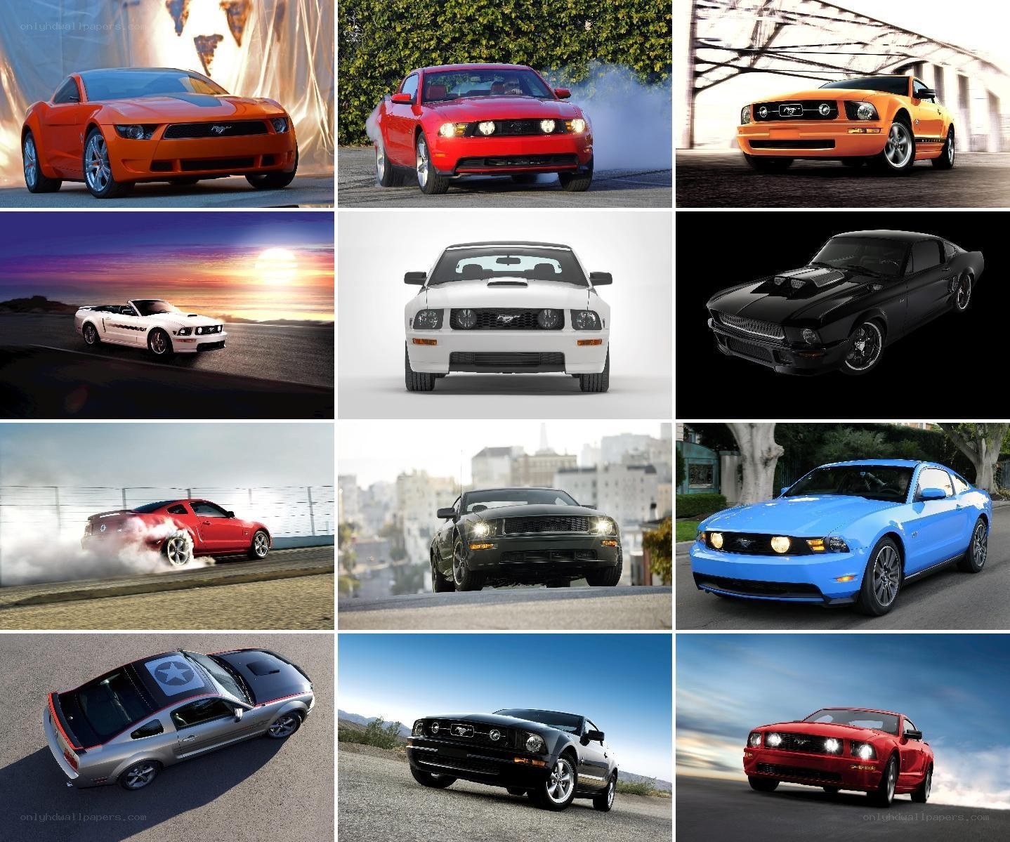 Ford Mustang collage