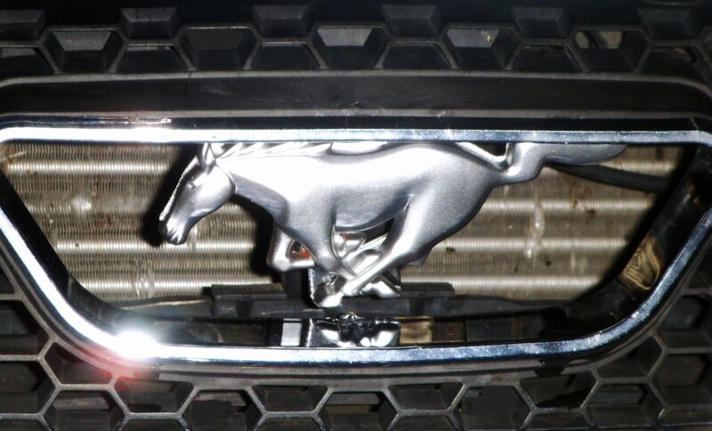 Ford Mustang emblem on grille