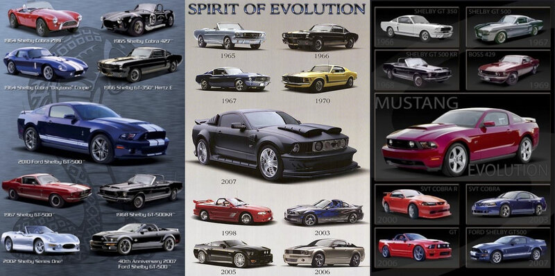 Ford Mustang Evolution