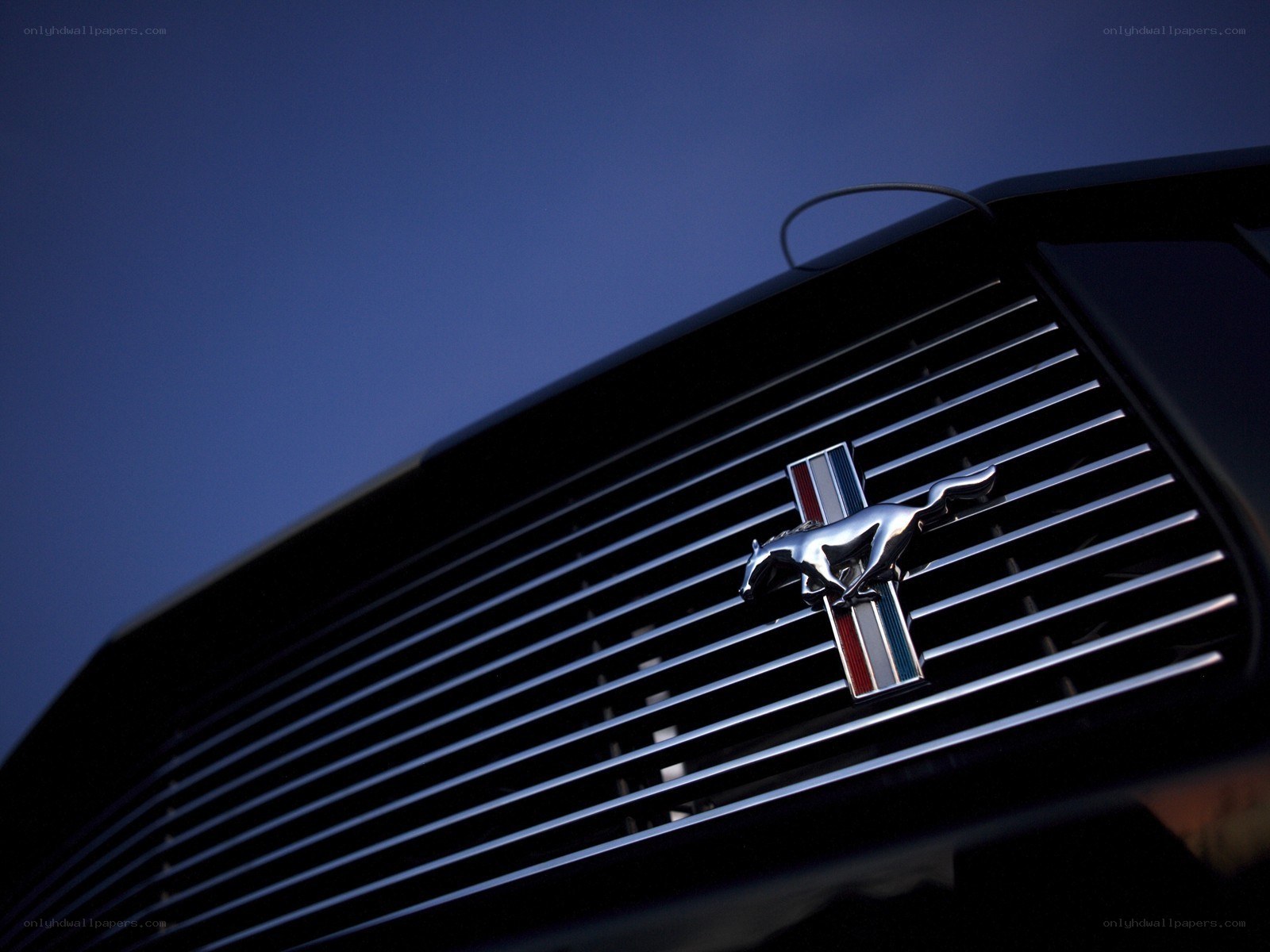 Ford Mustang grille emblem
