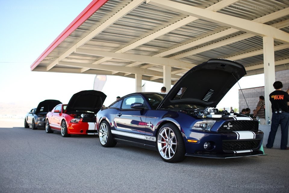 Ford Mustangs at a car show