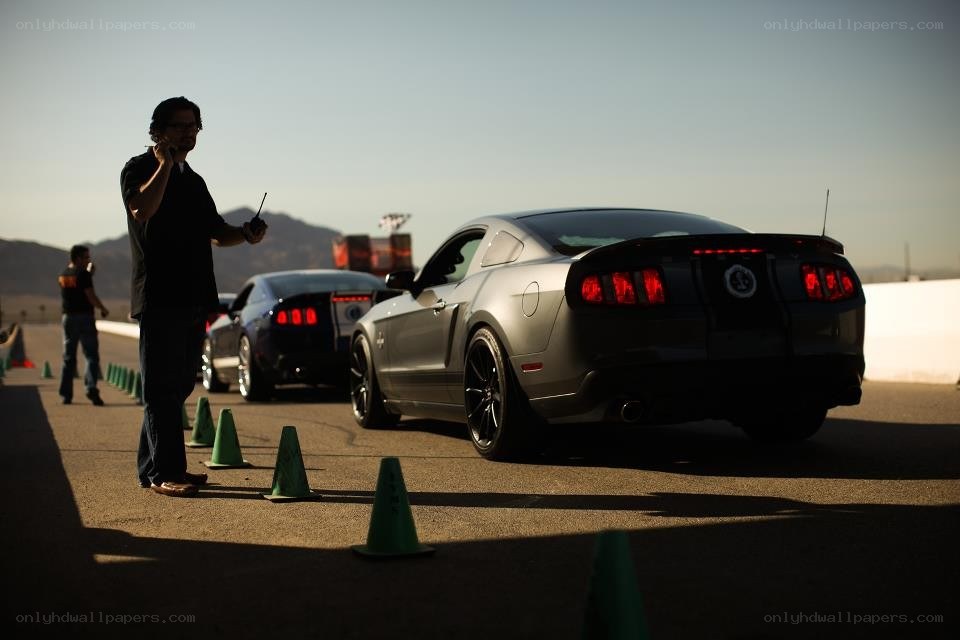 Ford Mustangs on a racetrack