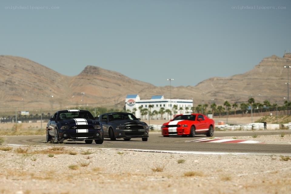Ford Mustangs racing on track