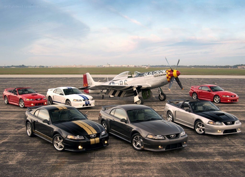 Ford Mustangs with P-51 Mustang