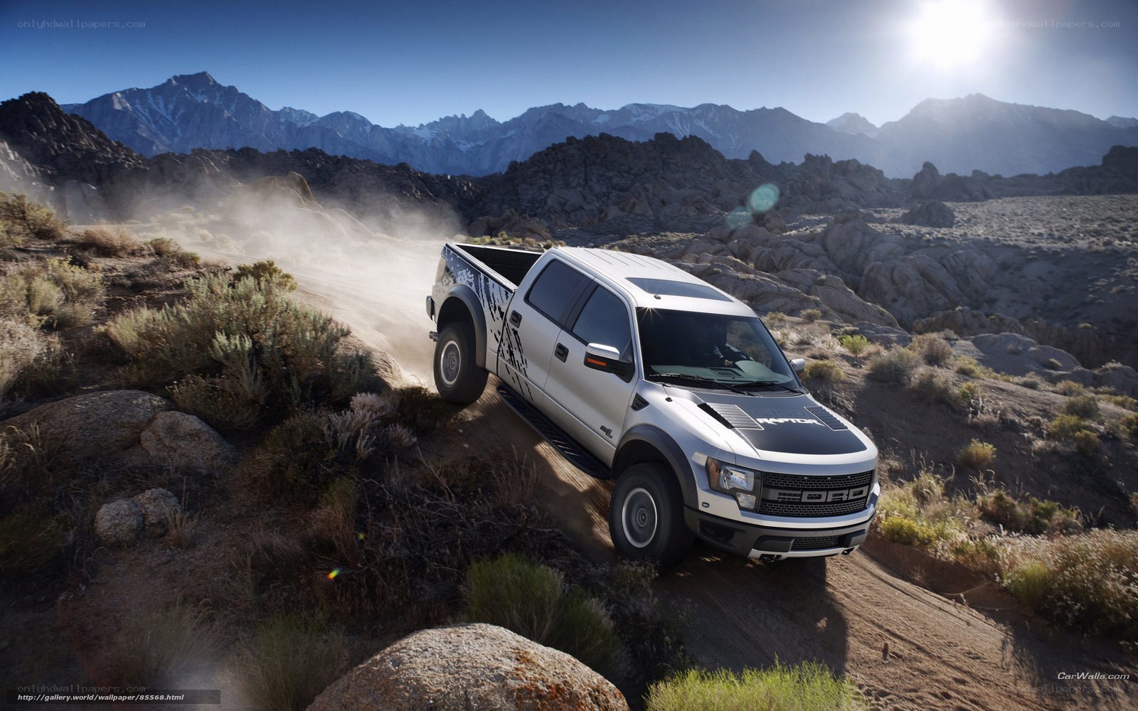 Ford Raptor off-road driving