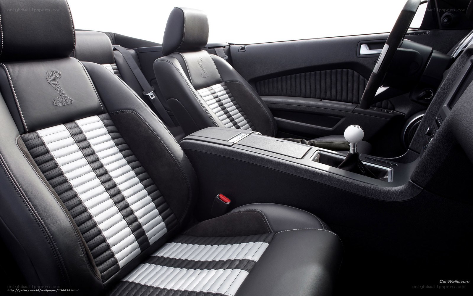 Ford Shelby Cobra interior
