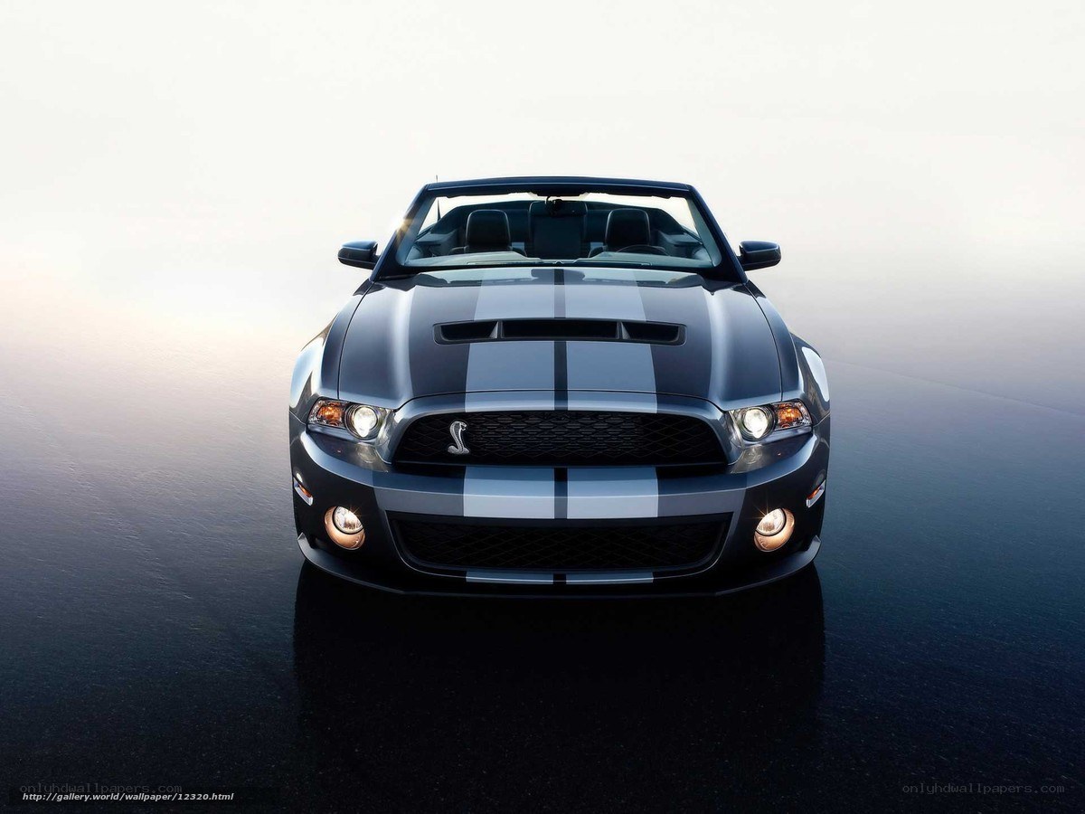 Ford Shelby GT500 convertible