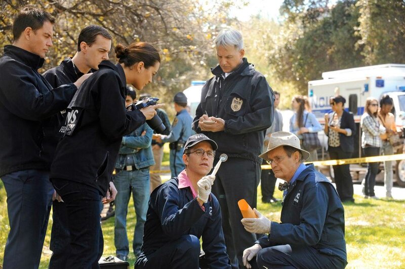 Forensic Team at Crime Scene — Green