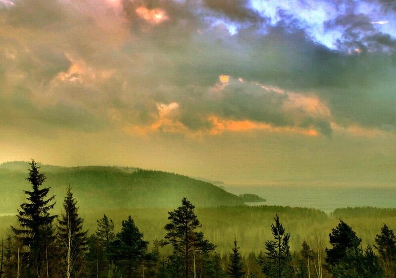 Forest and Hills at Dusk