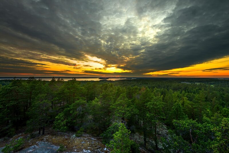 Forest and Lake at Sunset — Green