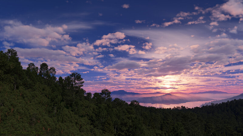 Forest and Lake at Sunset
