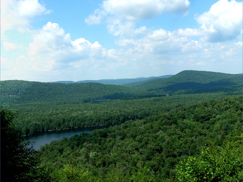 forest and lake landscape