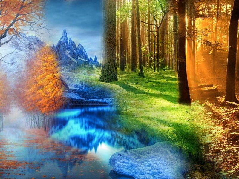 Forest and Mountain Landscape — Green, Serene