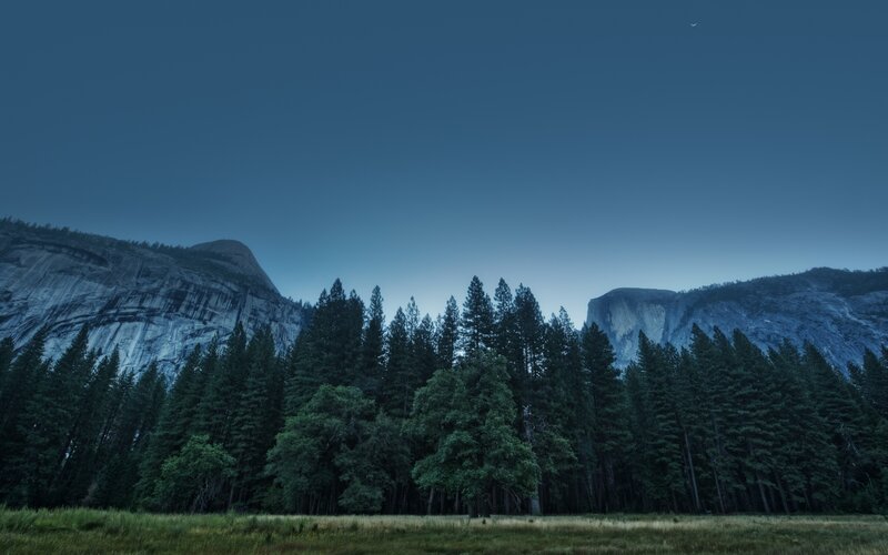 Forest and Mountains at Dusk