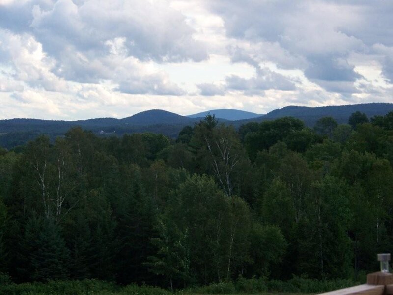 forest and mountains landscape