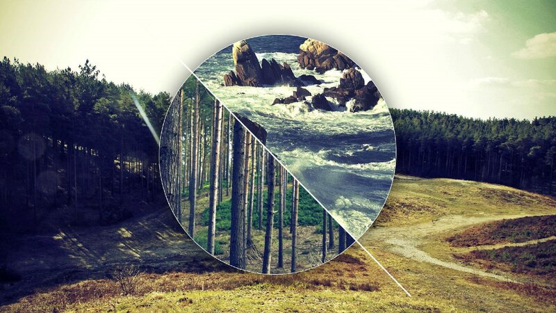 Forest and Ocean Collage