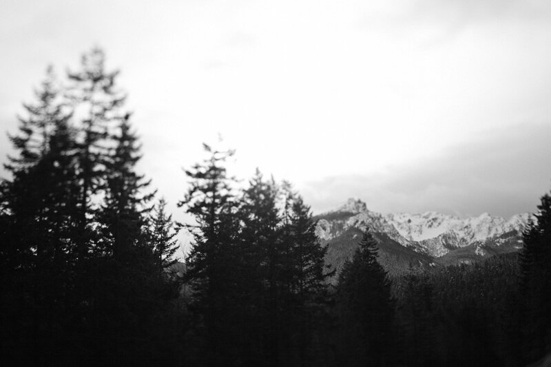 forest and snow-capped mountains