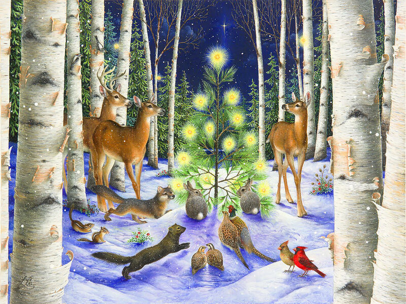 Forest Animals at Night
