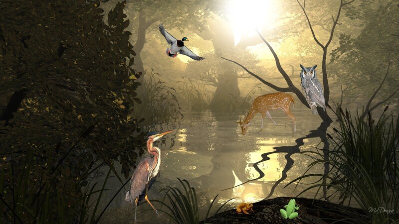 Forest Animals at Pond
