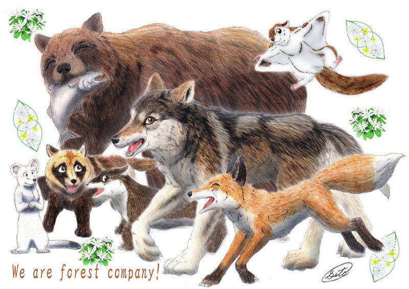 Forest Animals Illustration