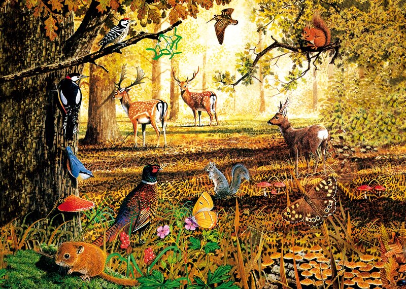 Forest Animals in Autumn