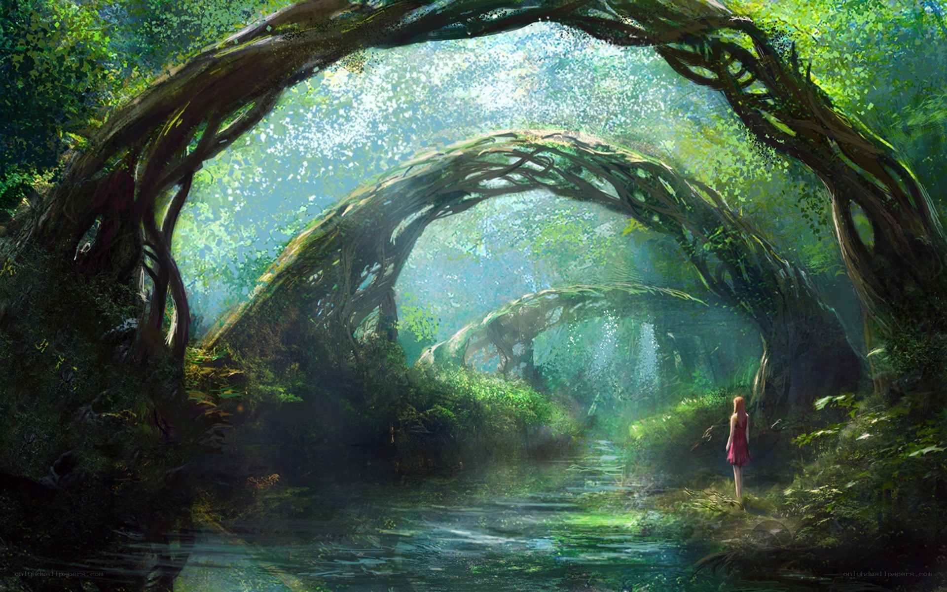 Forest arches and a lone figure