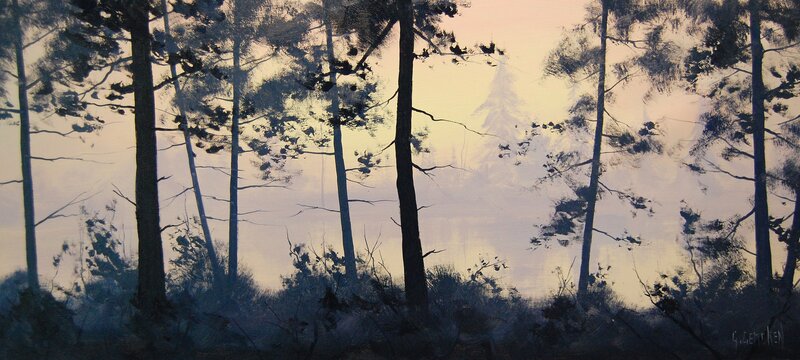Forest at Dawn