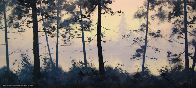 Forest at Dawn