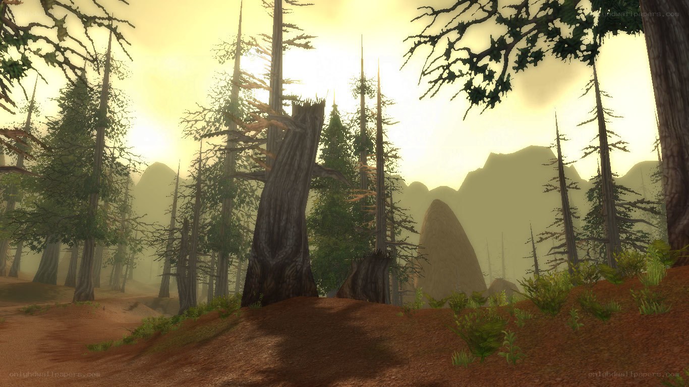 forest at dawn with mountains