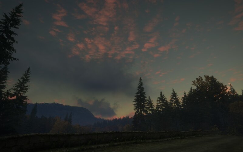 Forest at Dusk — Purple