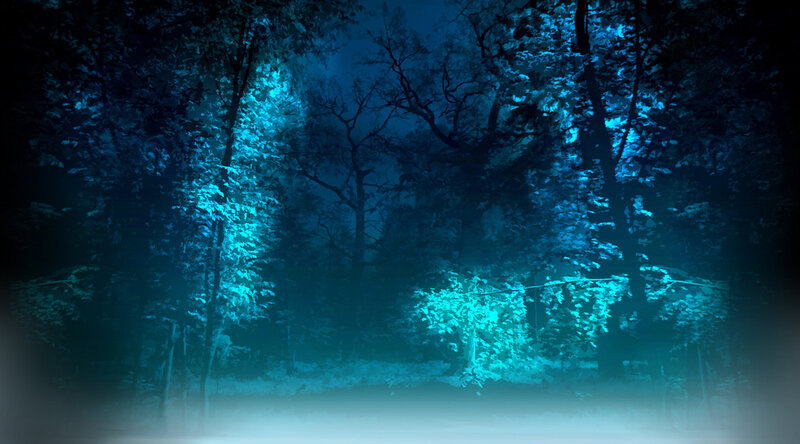 Forest at Night — Blue, Mysterious, Digital Art