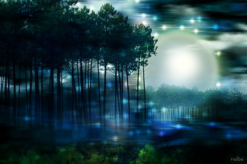 Forest at Night — Blue, Mystical