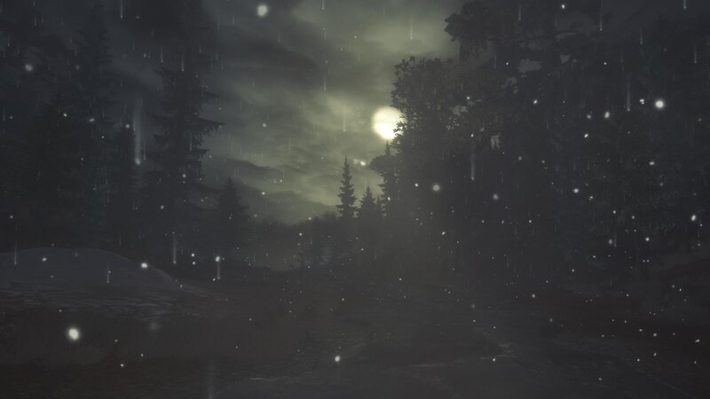 Forest at Night — Gray