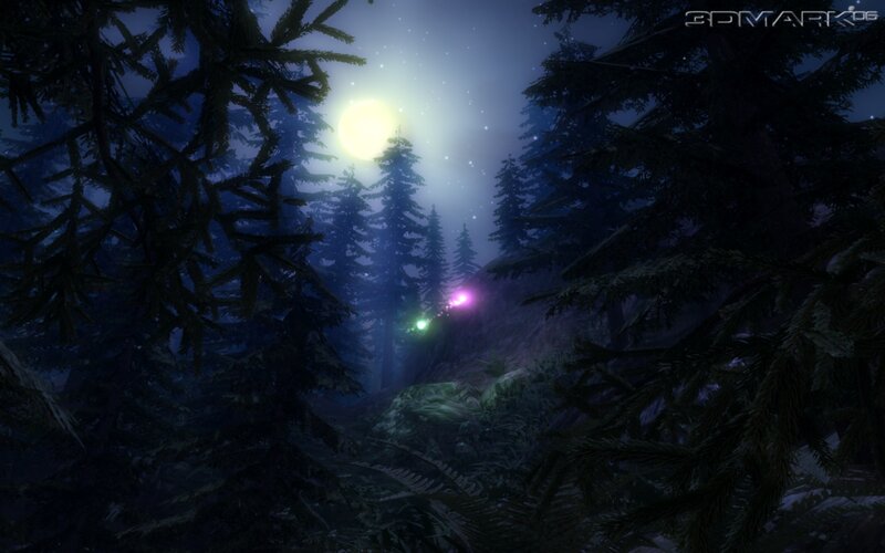 forest at night with glowing orbs