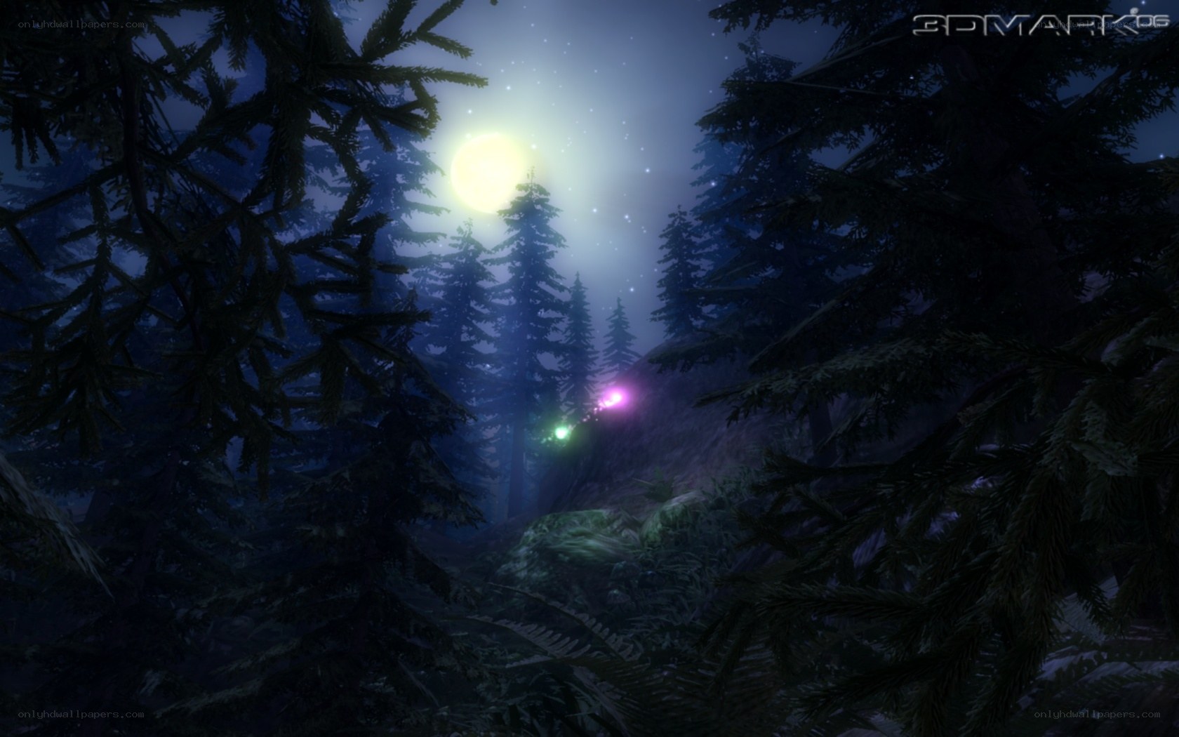 forest at night with glowing orbs