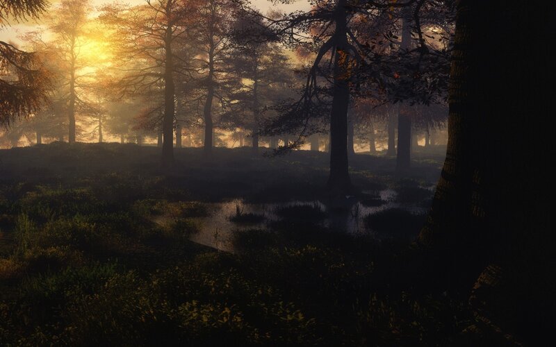 Forest at Sunrise — Brown, Serene