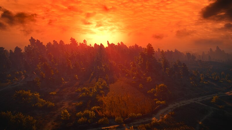Forest at Sunset — Orange, Dramatic, 3d Render